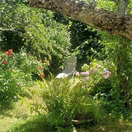 Charmant T2 Dans Chalet Familial Valdeblore Exterior photo
